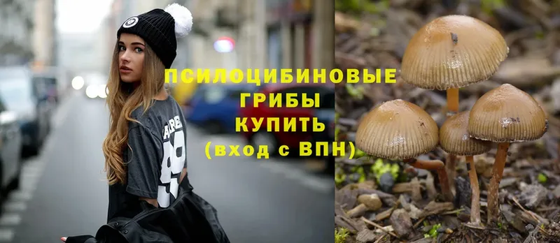 Псилоцибиновые грибы MAGIC MUSHROOMS  Чусовой 